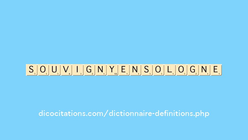 souvigny-en-sologne souvigny-en-sologne