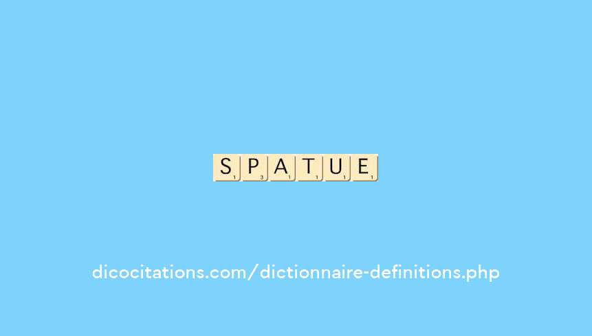 spatule