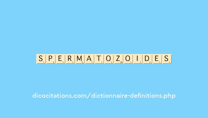 spermatozoides
