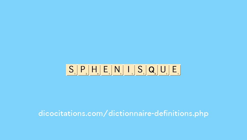 sphenisque