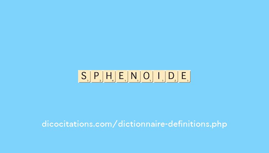 sphenoide sphenoide