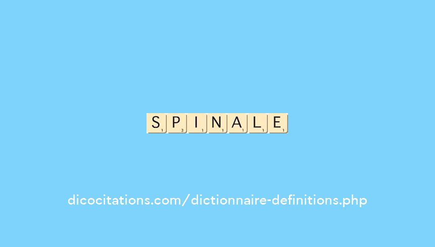 spinale spinale