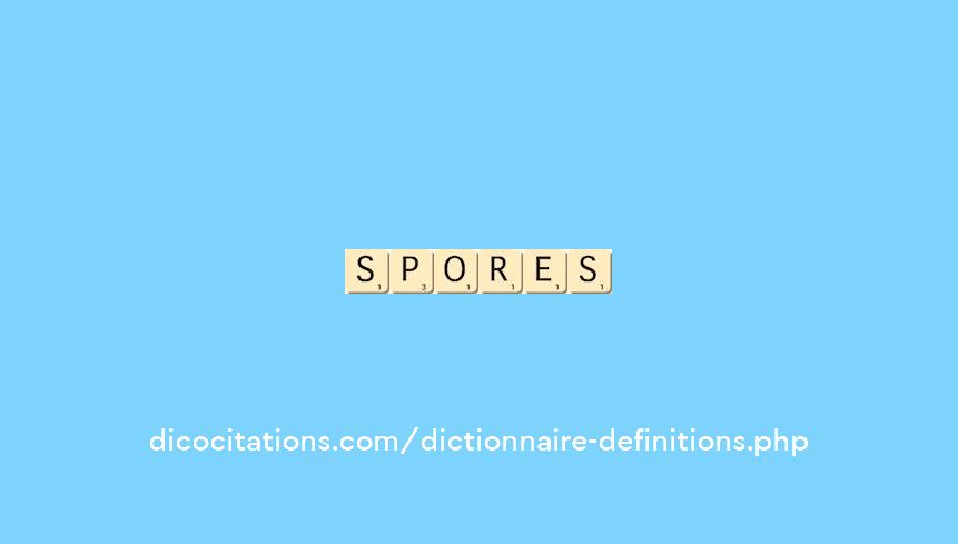 spores spores