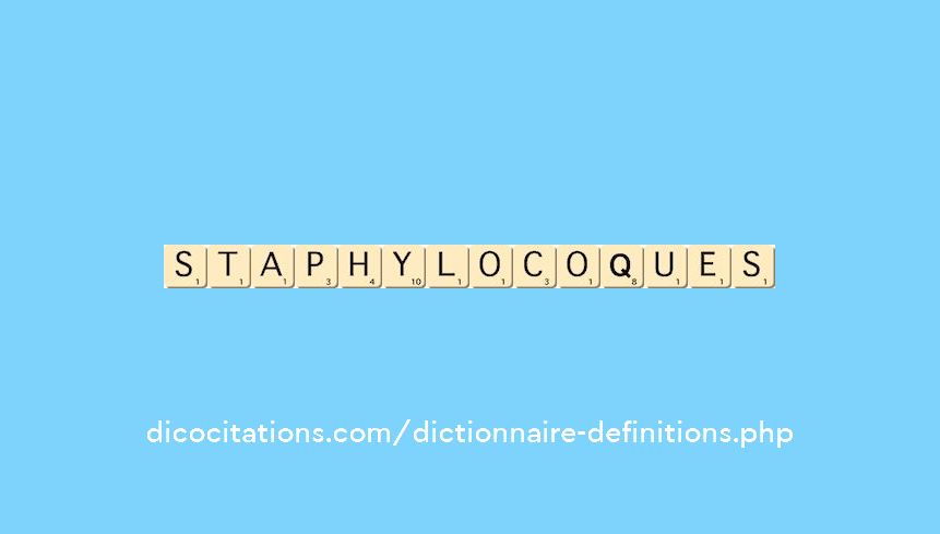 staphylocoques staphylocoques