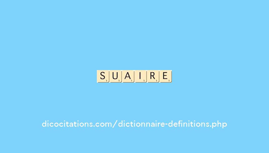 suaire suaire