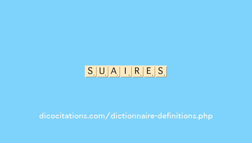 suaires suaires