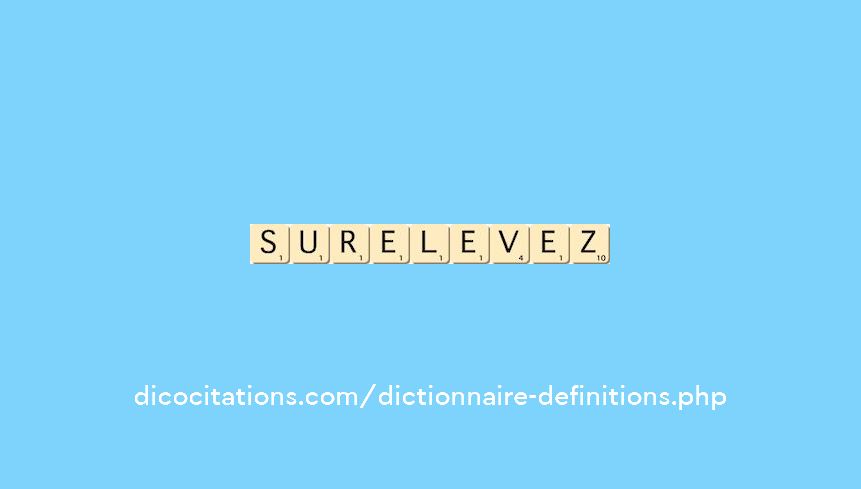 surelevez surelevez
