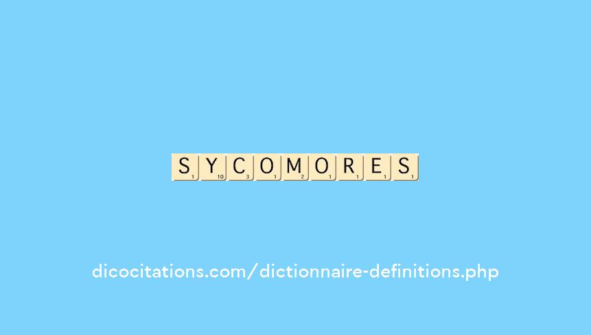 sycomores sycomores