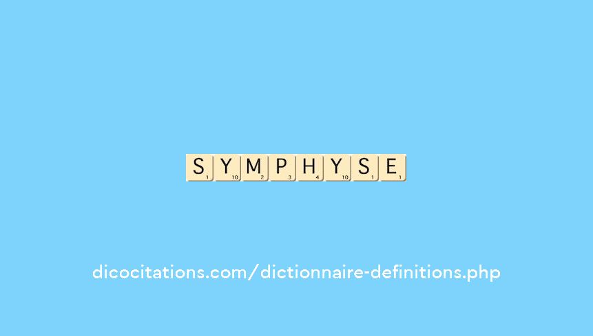 symphyse