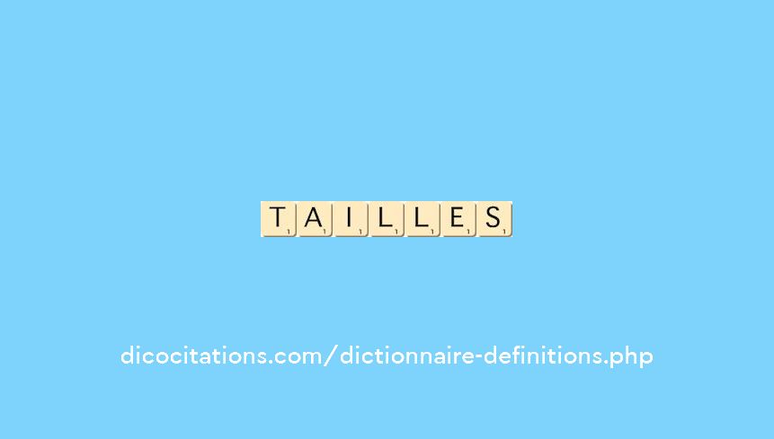 tailles tailles