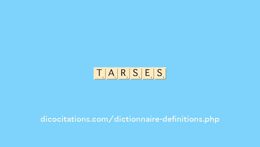 tarses tarses