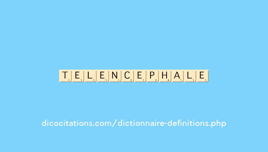 telencephale telencephale