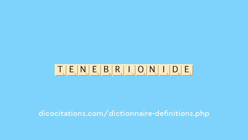 tenebrionide tenebrionide