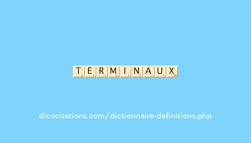 terminaux terminaux