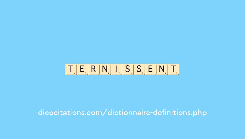 ternissent ternissent
