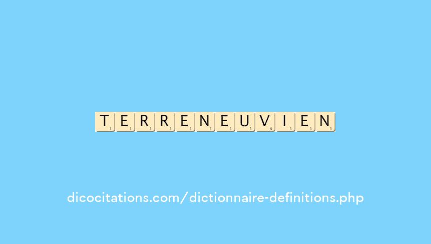 terre-neuvien