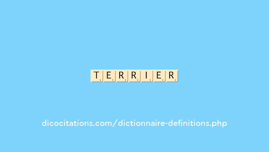 terrier