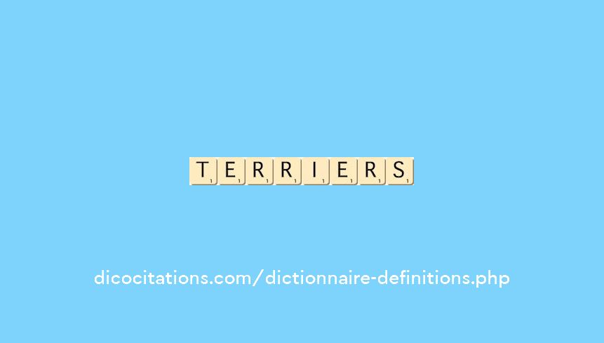 terriers