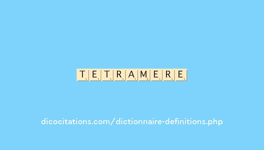 tetramere tetramere