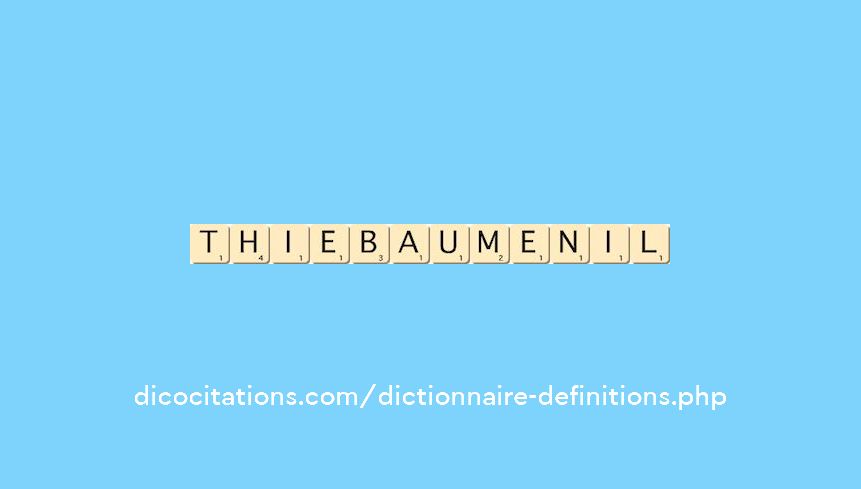 thiebaumenil