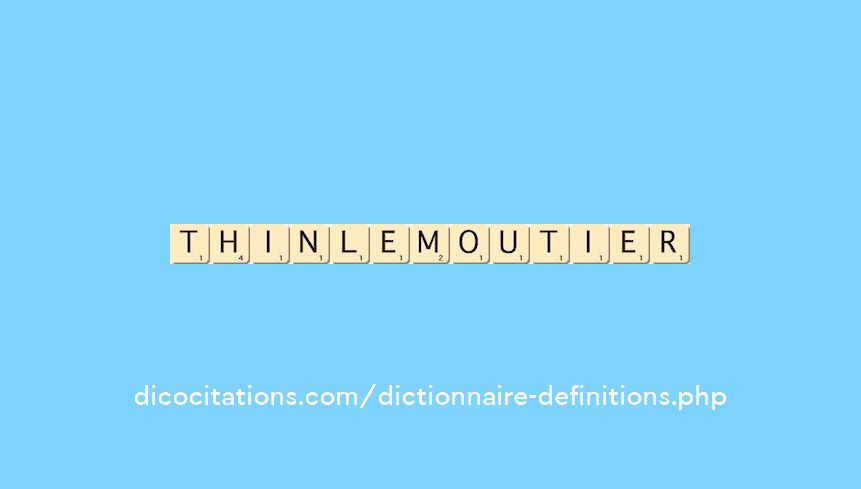 thin-le-moutier