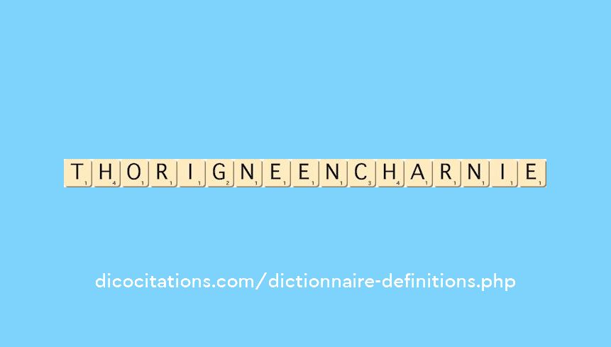 thorigne-en-charnie
