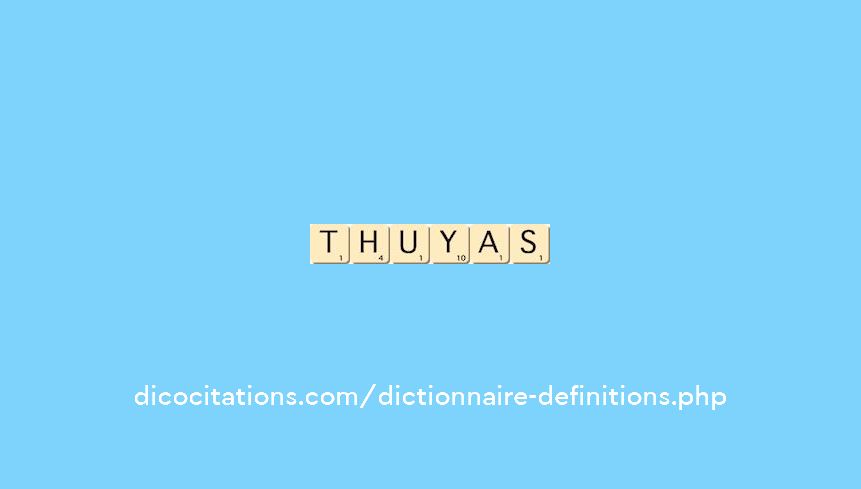 thuyas