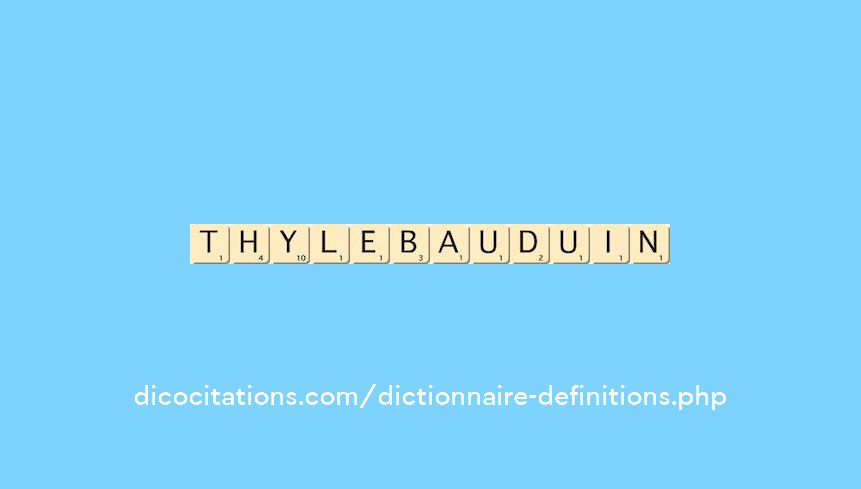 thy-le-bauduin