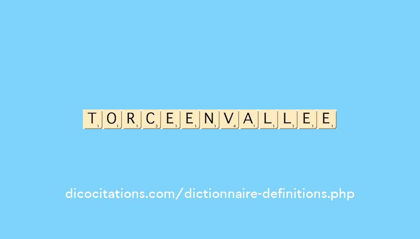 torce-en-vallee