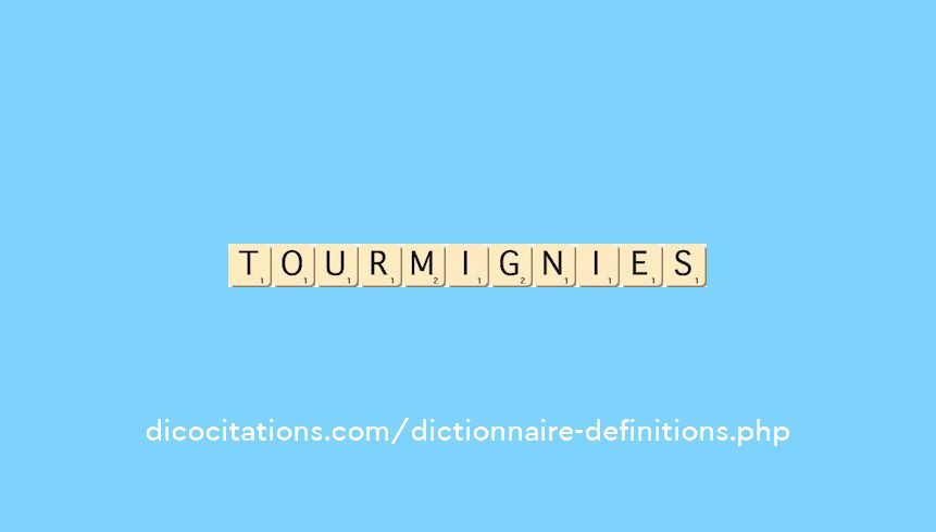 tourmignies