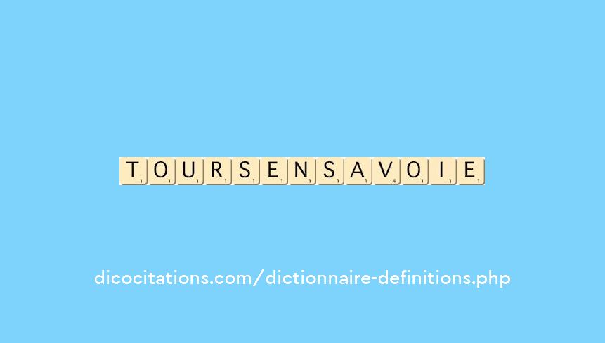 tours-en-savoie