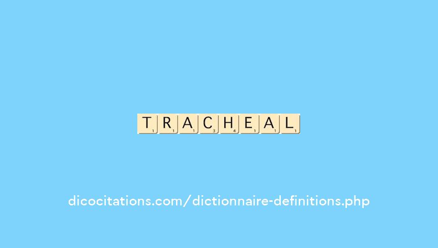 tracheal tracheal