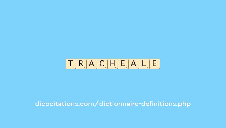 tracheale tracheale