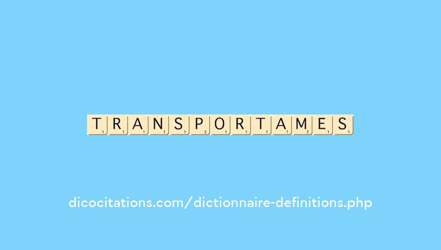 transportames transportames