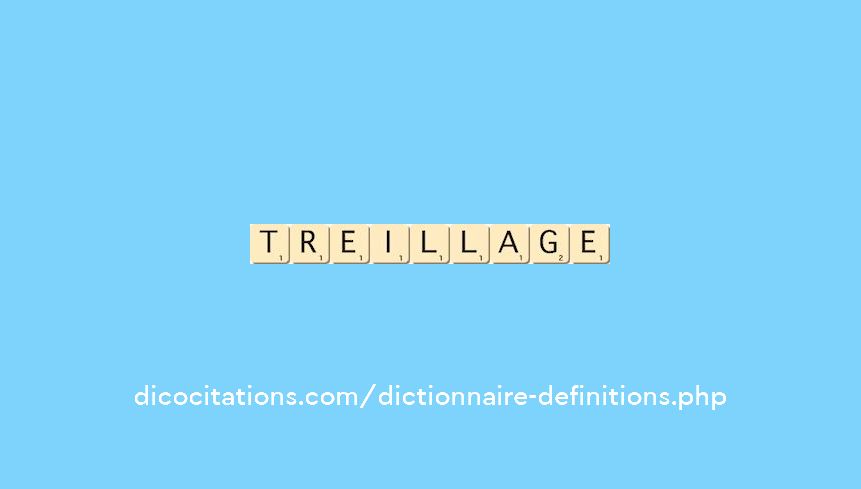 treillage treillage