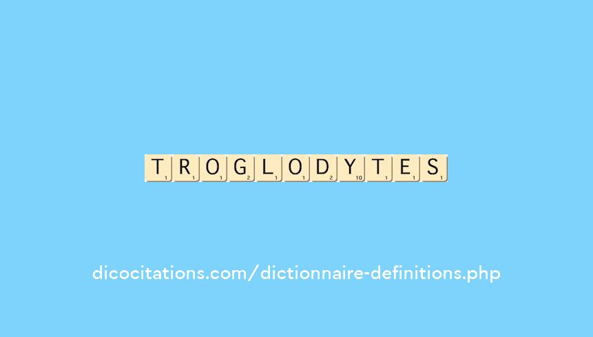 troglodytes troglodytes