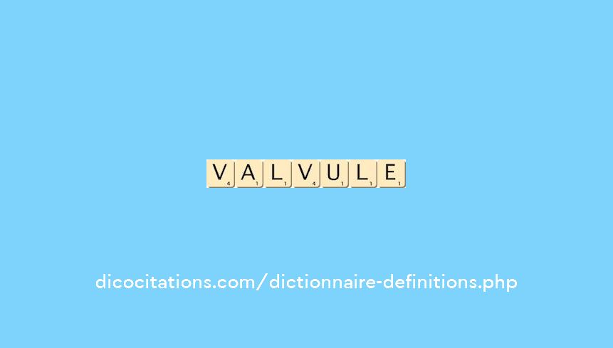 valvule