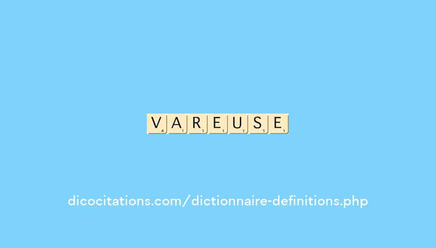 vareuse vareuse