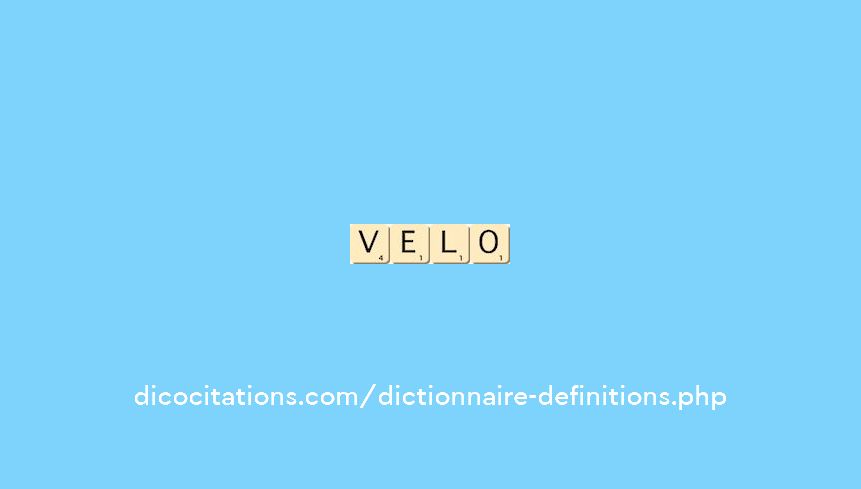 velo velo