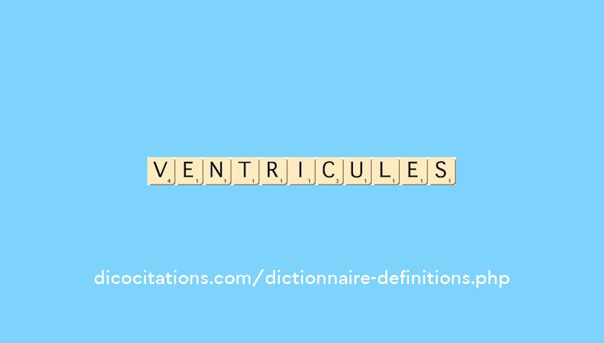 ventricules ventricules