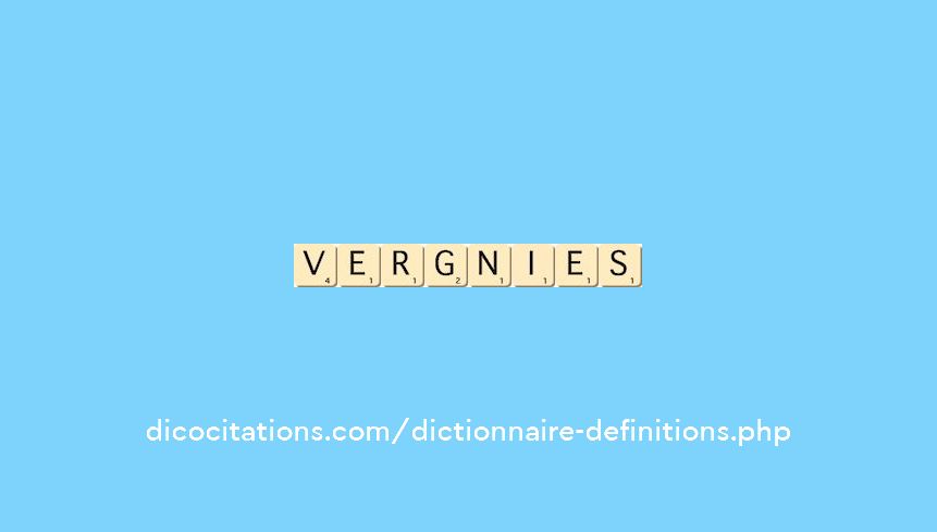 vergnies vergnies