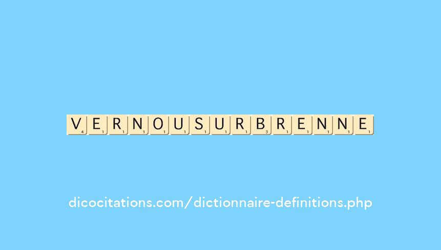 vernou-sur-brenne vernou-sur-brenne