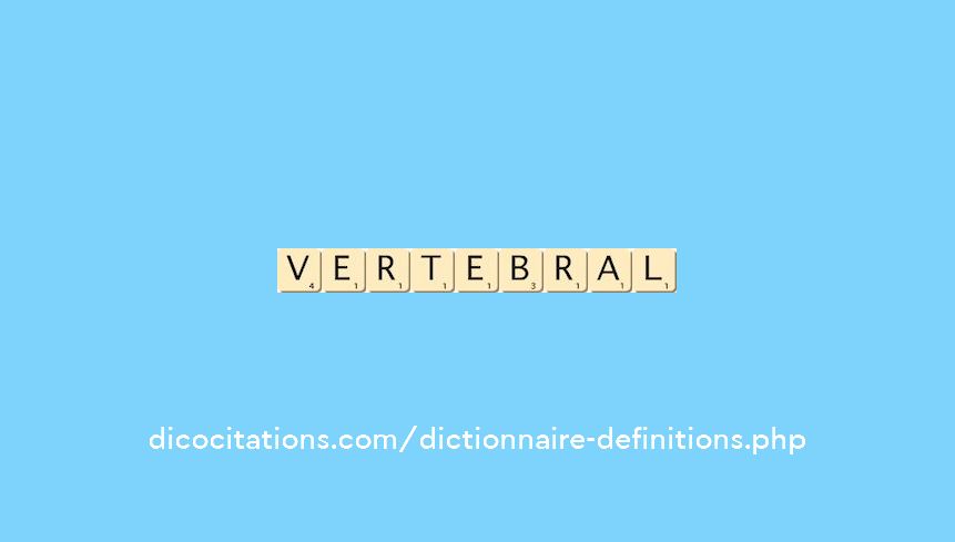 vertebral vertebral