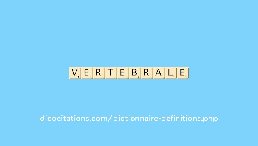 vertebrale