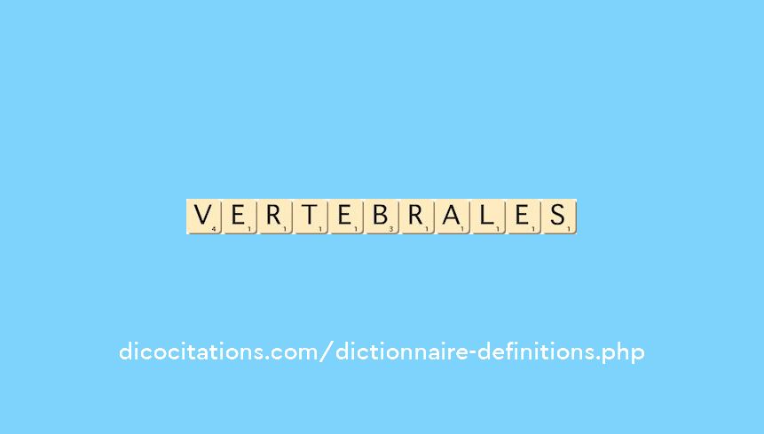 vertebrales vertebrales