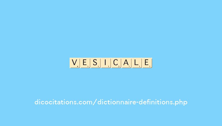 vesicale vesicale