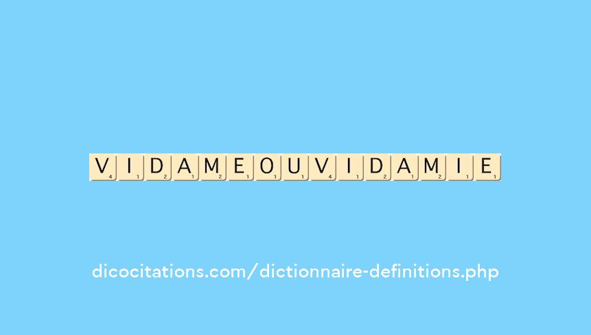 vidame-ou-vidamie
