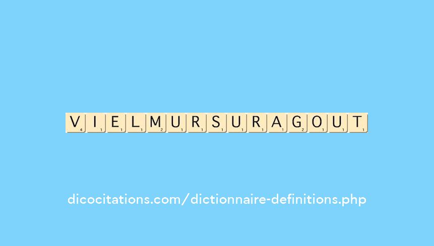 vielmur-sur-agout