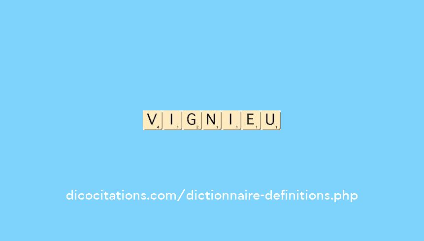 vignieu