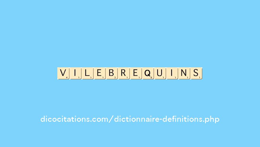 vilebrequins vilebrequins